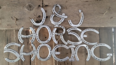 Horseshoe Art